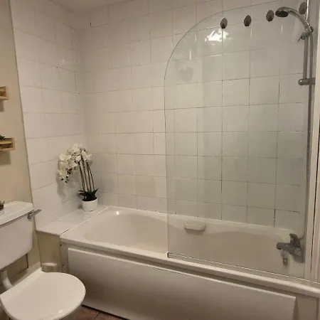 Temple Bar & * 더블린